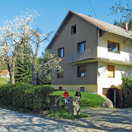 Apartament Haus Hollerbusch Neunburg vorm Wald Zewnętrze zdjęcie