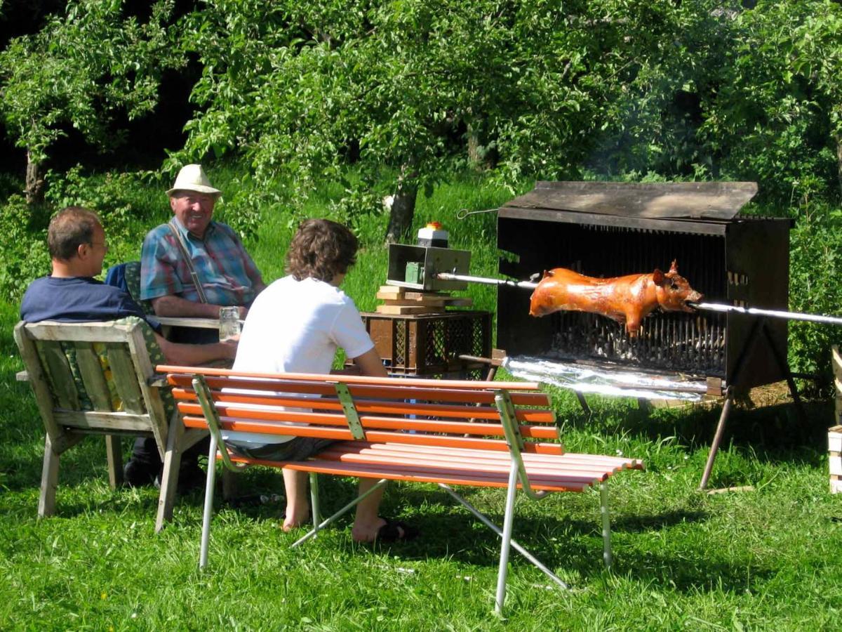 Apartament Haus Hollerbusch Neunburg vorm Wald Zewnętrze zdjęcie