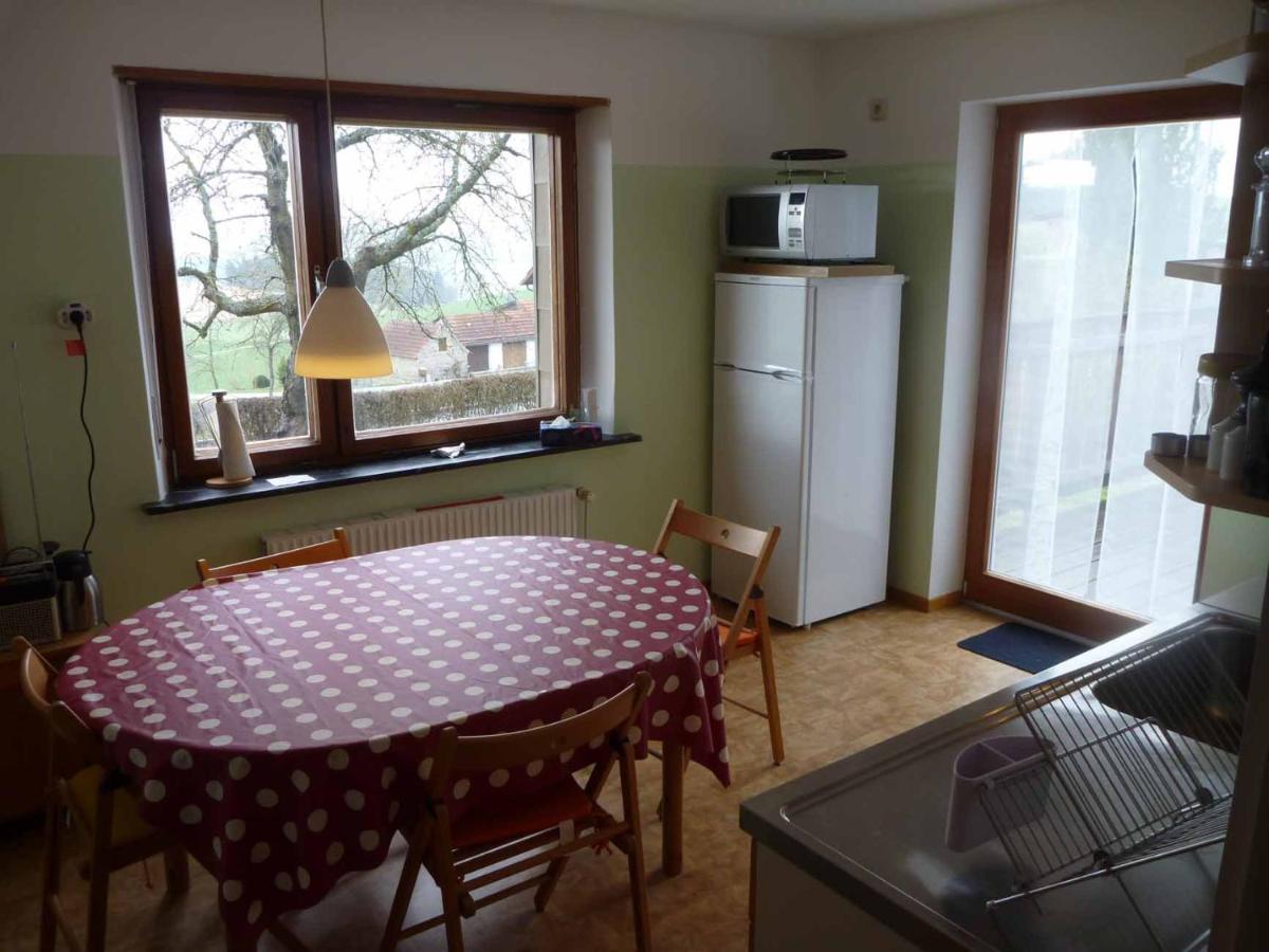 Apartament Haus Hollerbusch Neunburg vorm Wald Zewnętrze zdjęcie