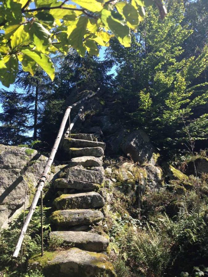 Apartament Haus Hollerbusch Neunburg vorm Wald Zewnętrze zdjęcie